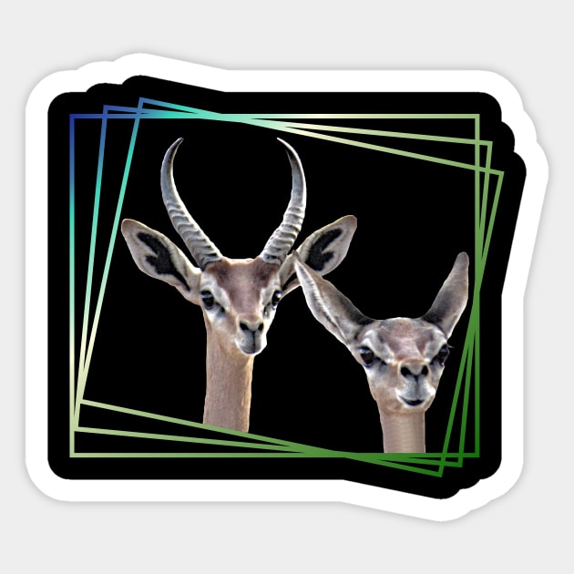 Gerenuk - Gazelle in Kenya / Africa Sticker by T-SHIRTS UND MEHR